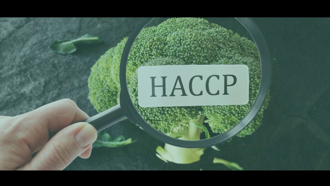 Как внедрять ХАССП